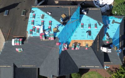 When to Replace Your Roof: 8 Warning Signs You Shouldn’t Ignore