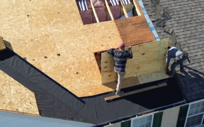 How Seasonal Weather Wears Down Asphalt Shingles (and How to Spot Hidden Storm Damage)
